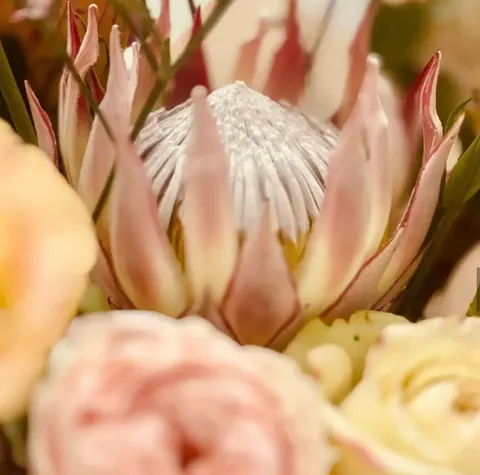 Elle — a refined, kraft-wrapped bouquet of king protea, dahlia, lisianthus and carnation