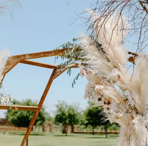 Hexagonal arch detail with pampas grass and olive branch against blue sky