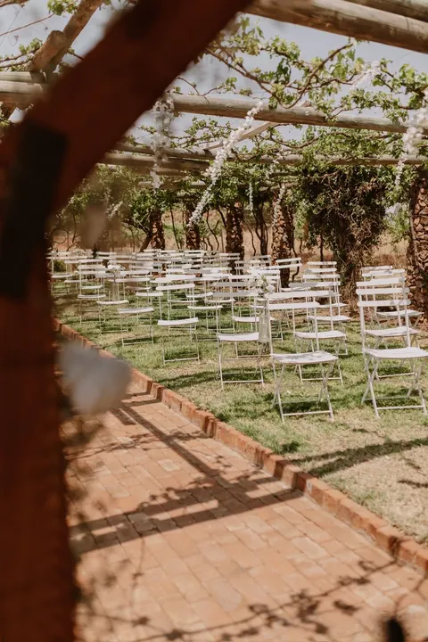 Rows of white ceremony chairs beneath a grapevine pergola